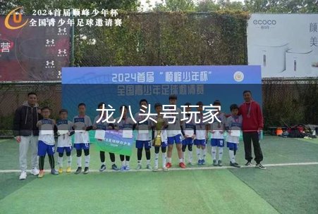网站介绍