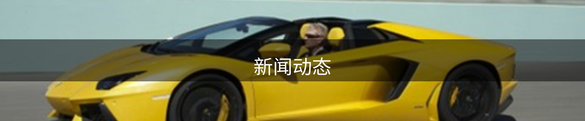 新闻动态
